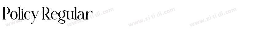 Policy Regular字体转换